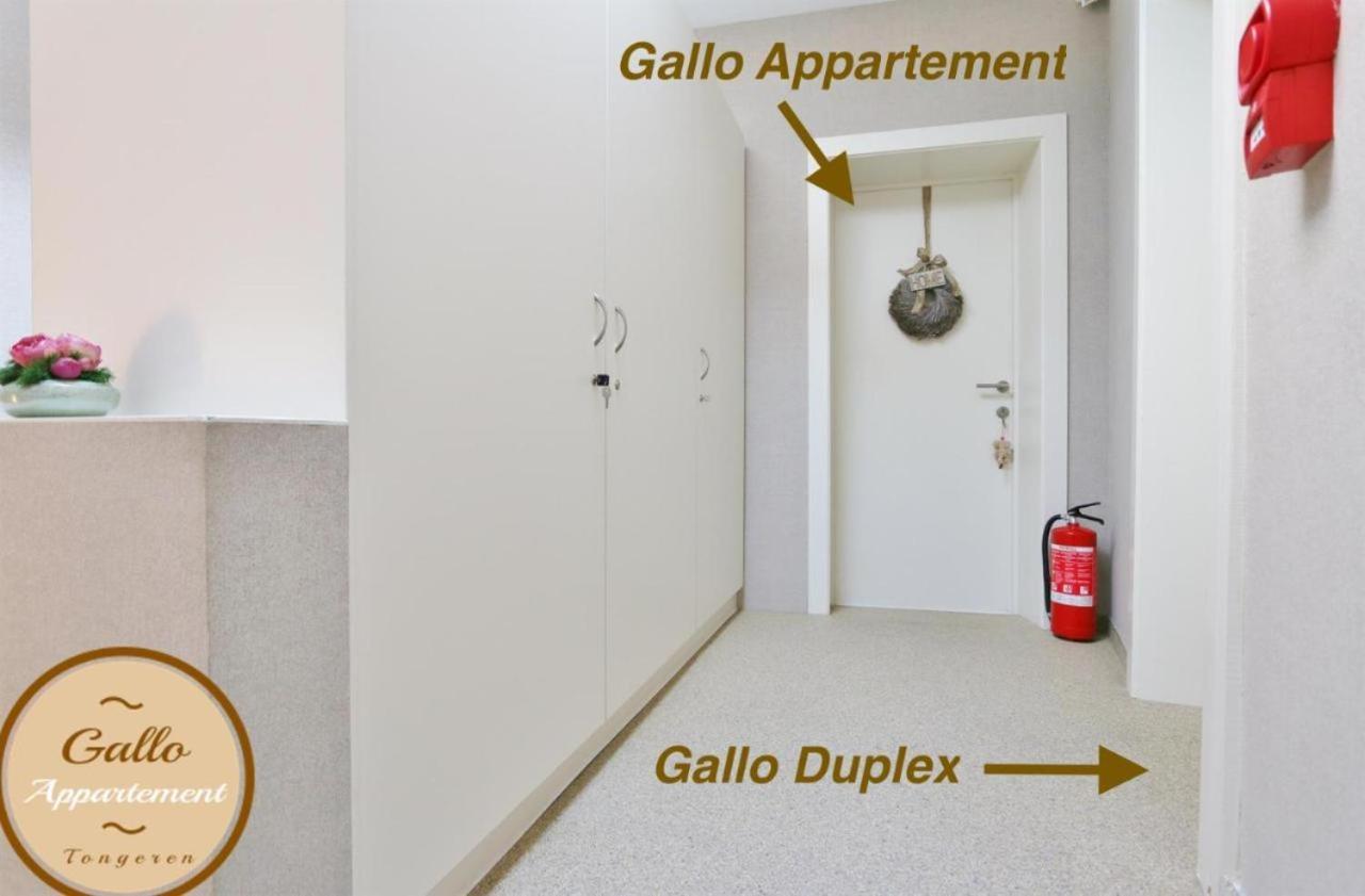 Gallo Appartement & Duplex Tongeren Centrum Kültér fotó
